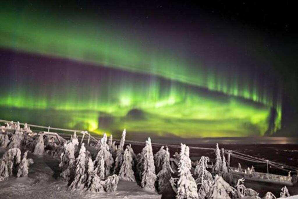 Cosy Studio Apartment - Perfect For Your Stay In Rovaniemi! Ngoại thất bức ảnh